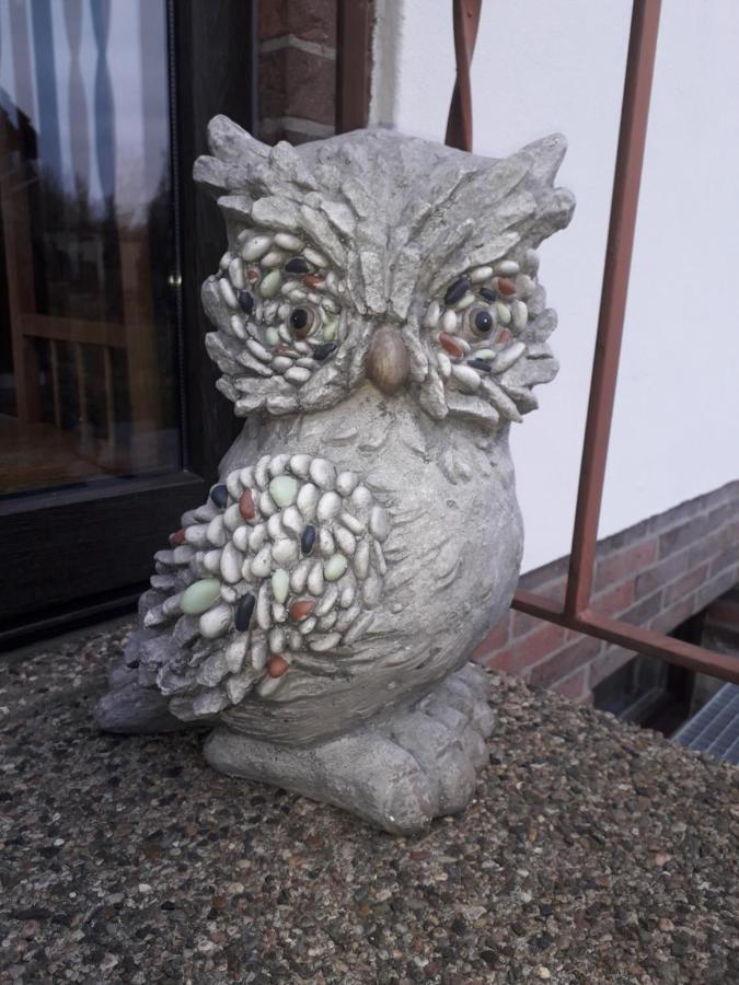 Heidehaus Hodenhagen公寓 外观 照片